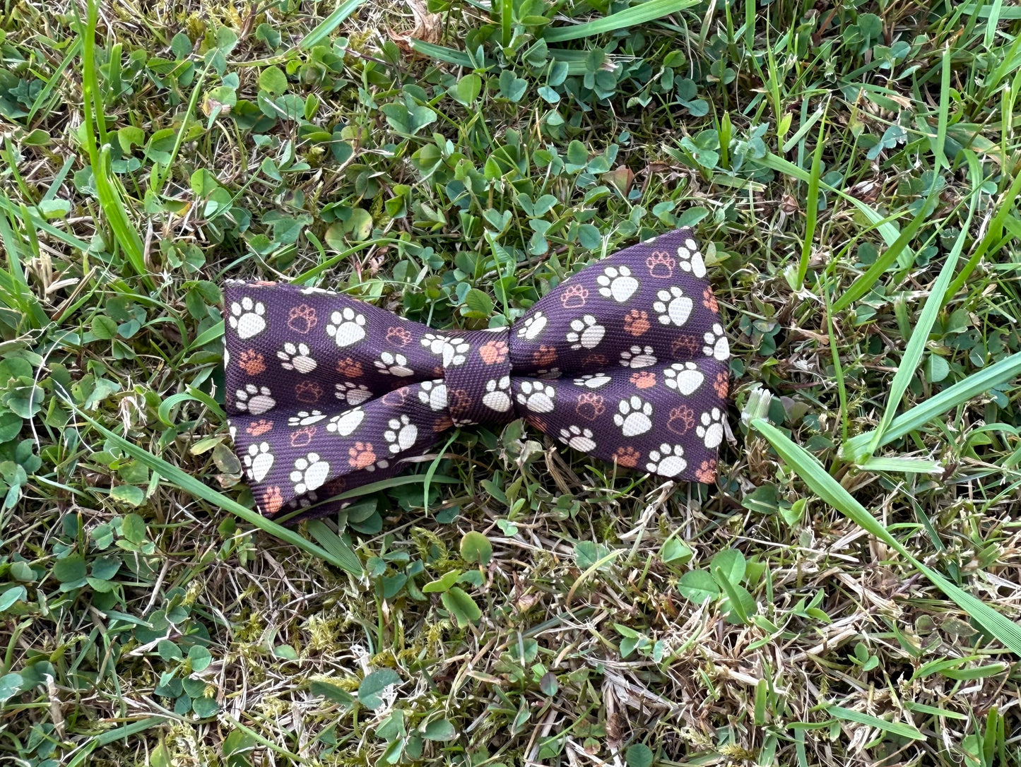 Bow tie with floral pattern on grass