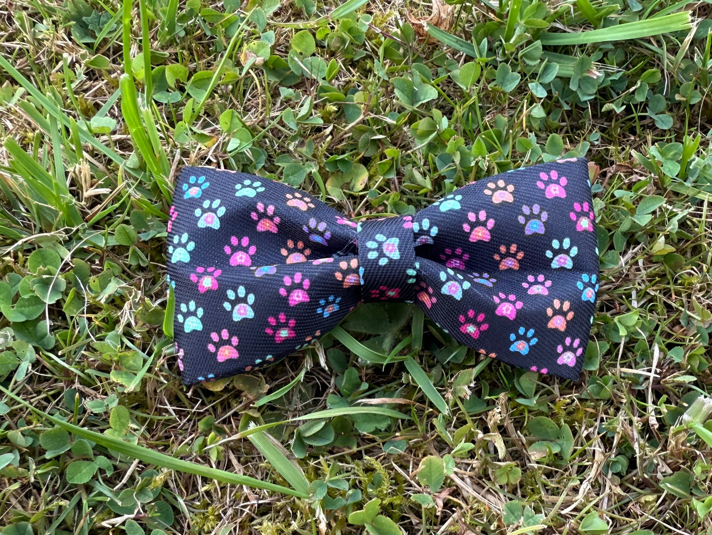Floral-patterned bow tie on grass