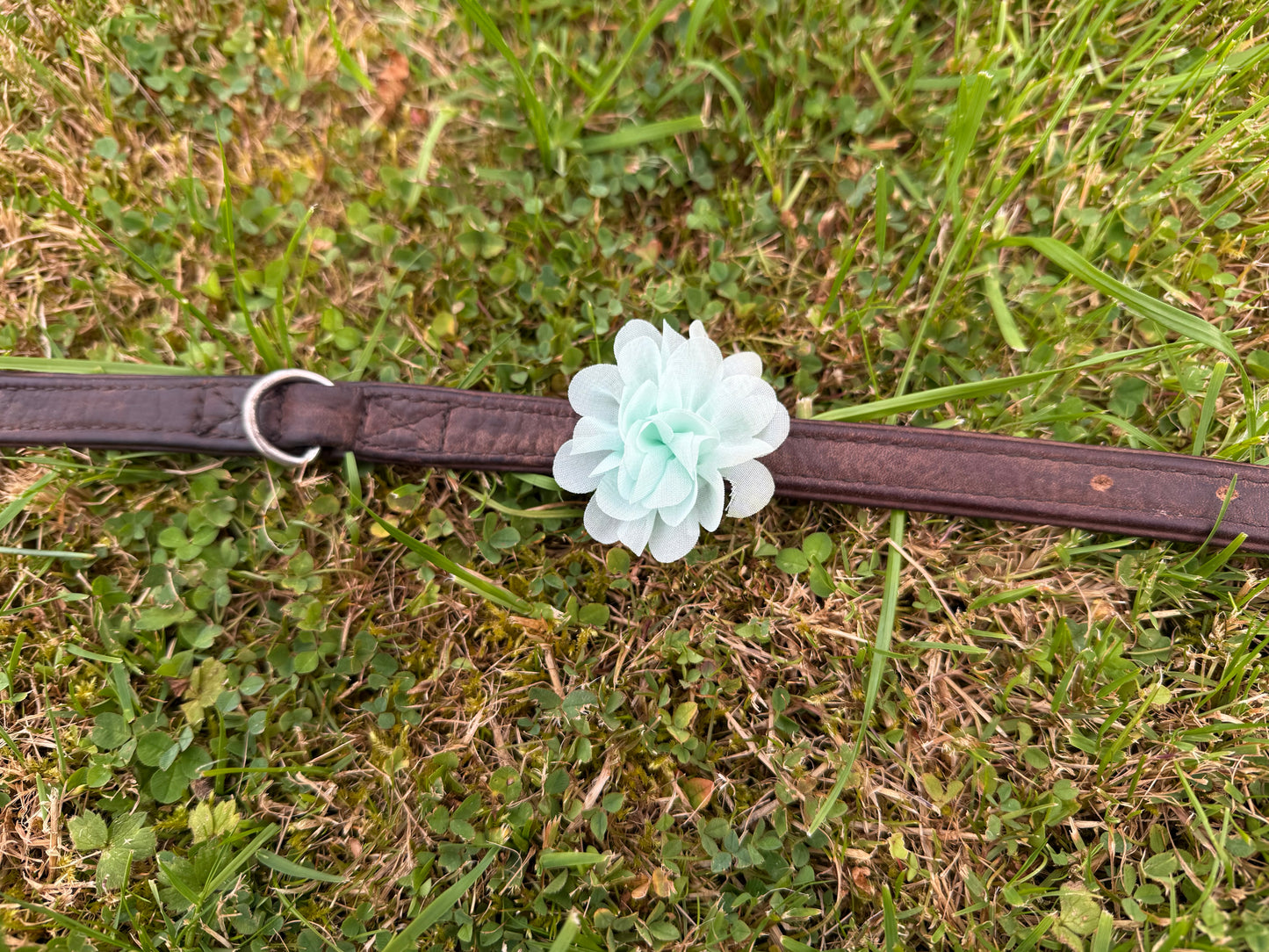 Small Dog Collar Flower – Chiffon Layered Floral Accessory for Small Dogs | Removable Pet Collar Flower | Feminine Dog Bow
