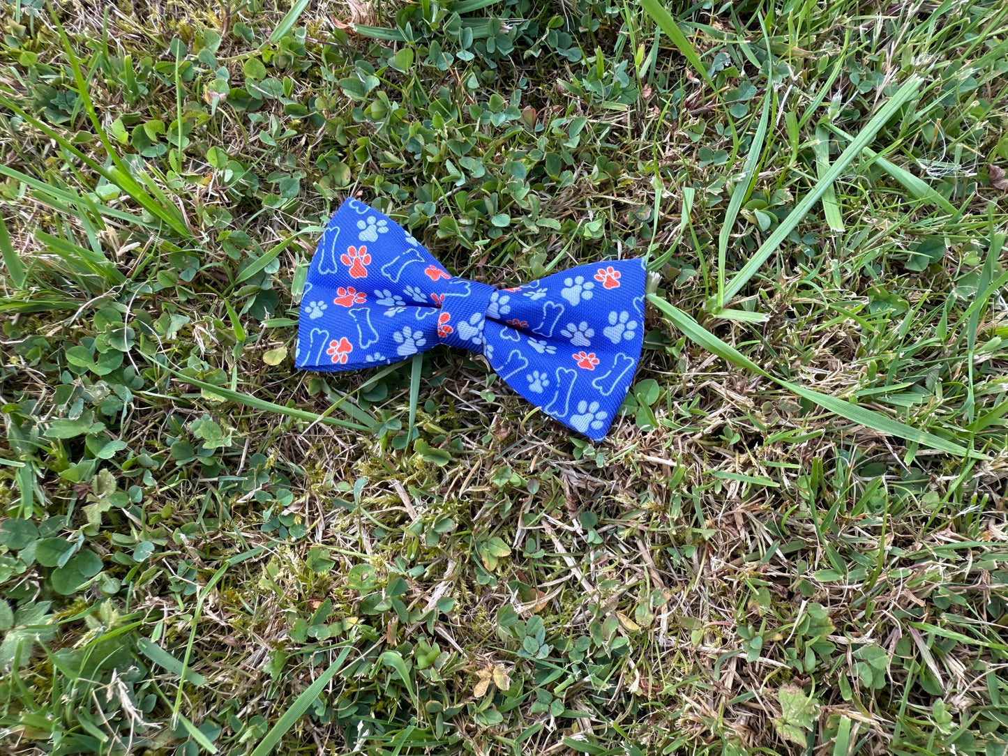 Dog Collar Bow Tie - The Paw collection