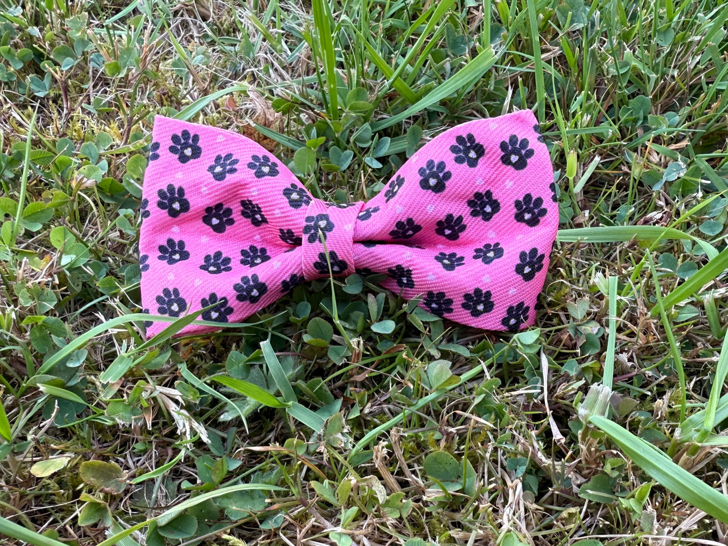 Pink bow with black paw prints on grass
