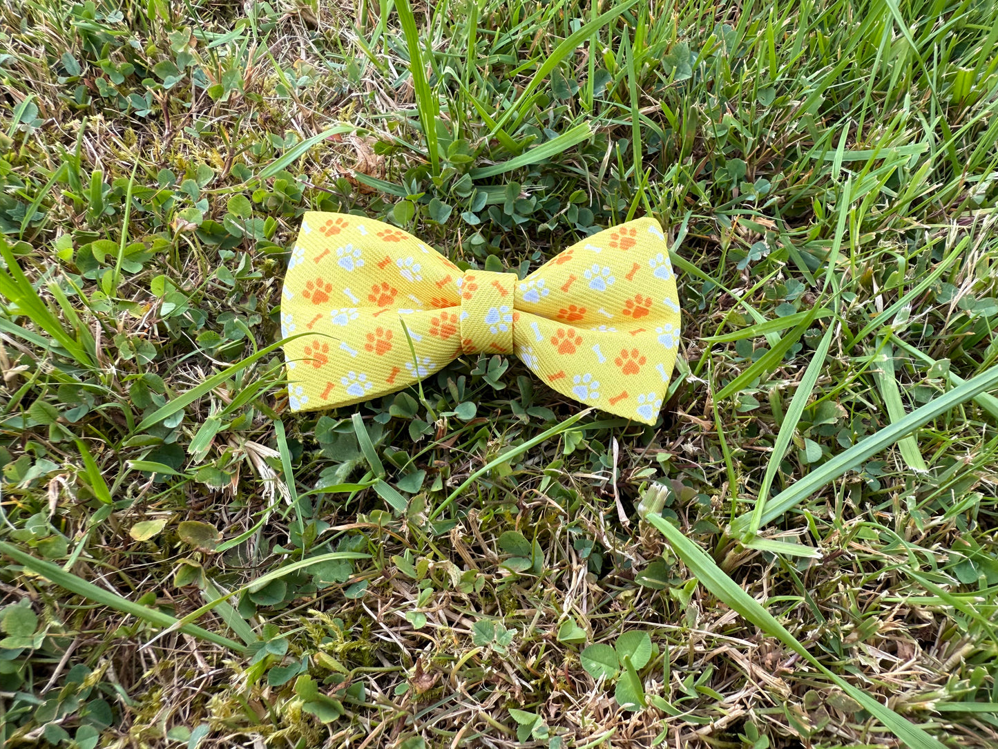 Yellow bow tie with floral pattern on grass