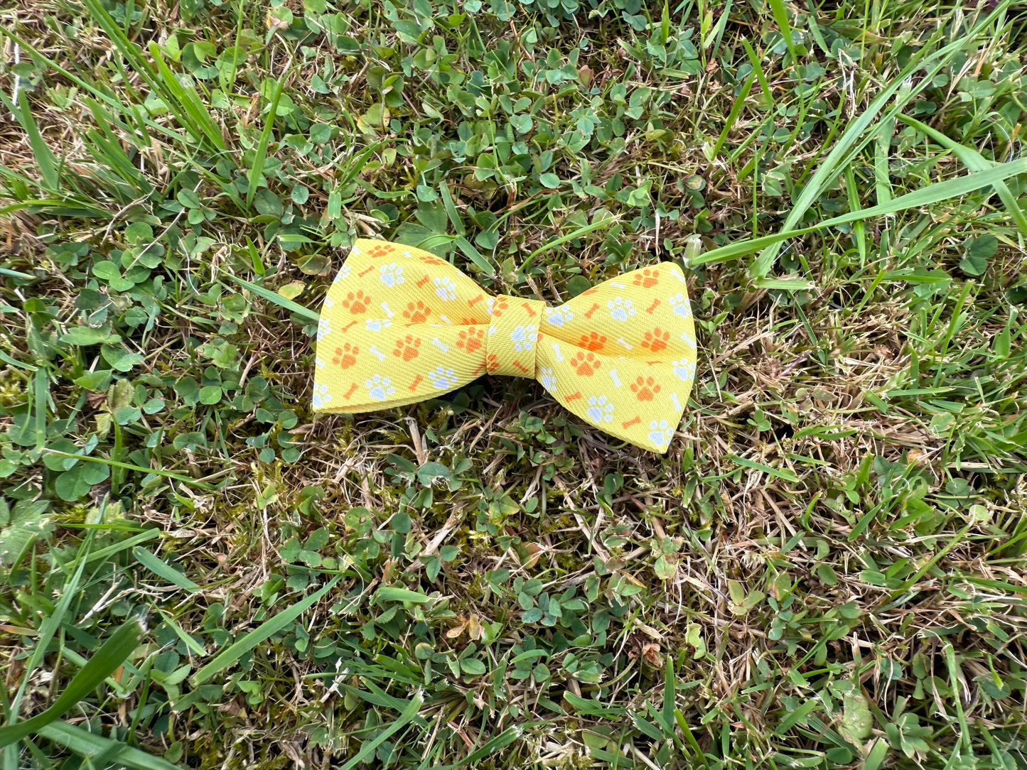 Yellow bow tie with floral pattern on grass