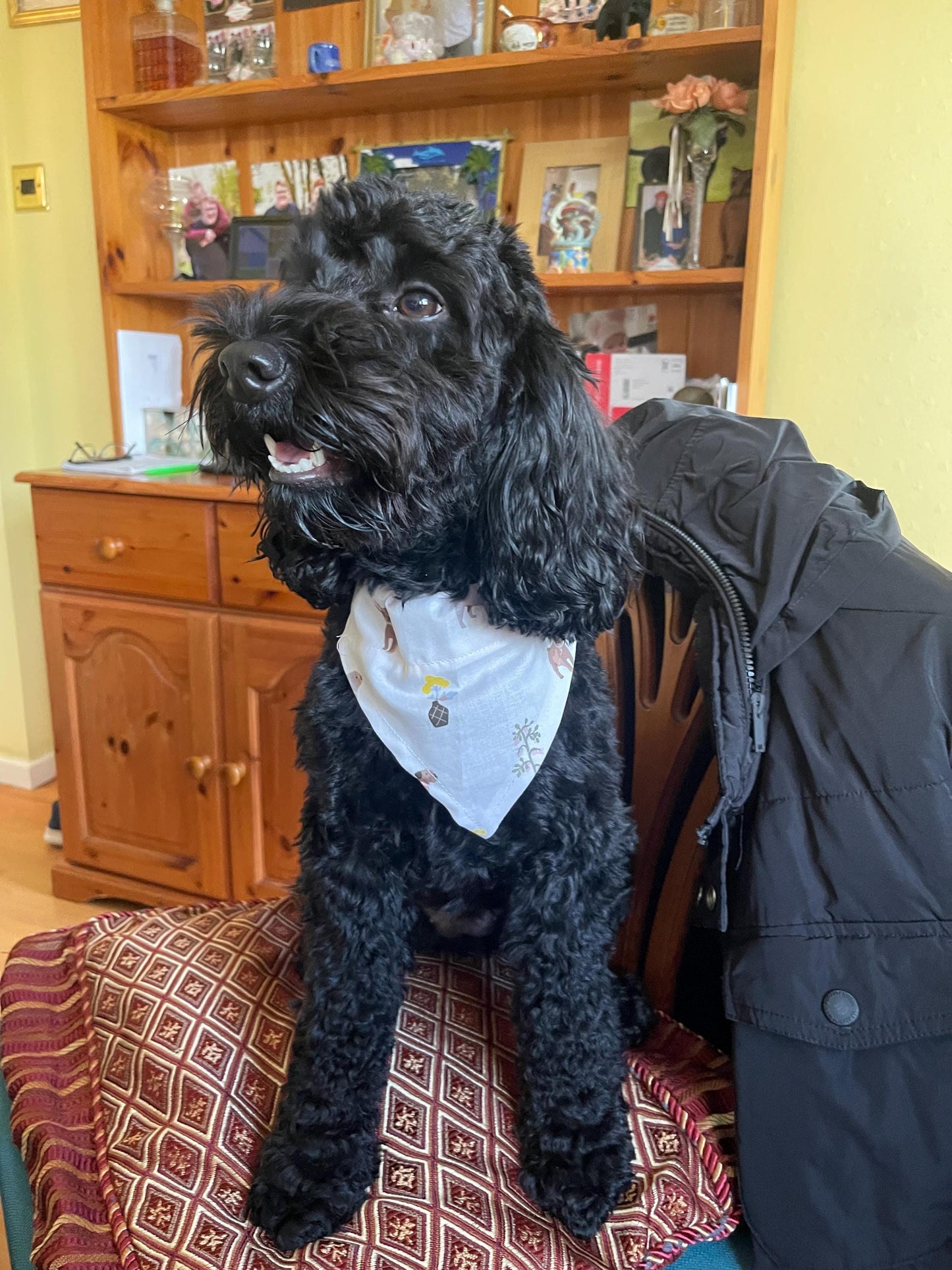 Spring/ Easter Dog Bandana with dogs and flowers