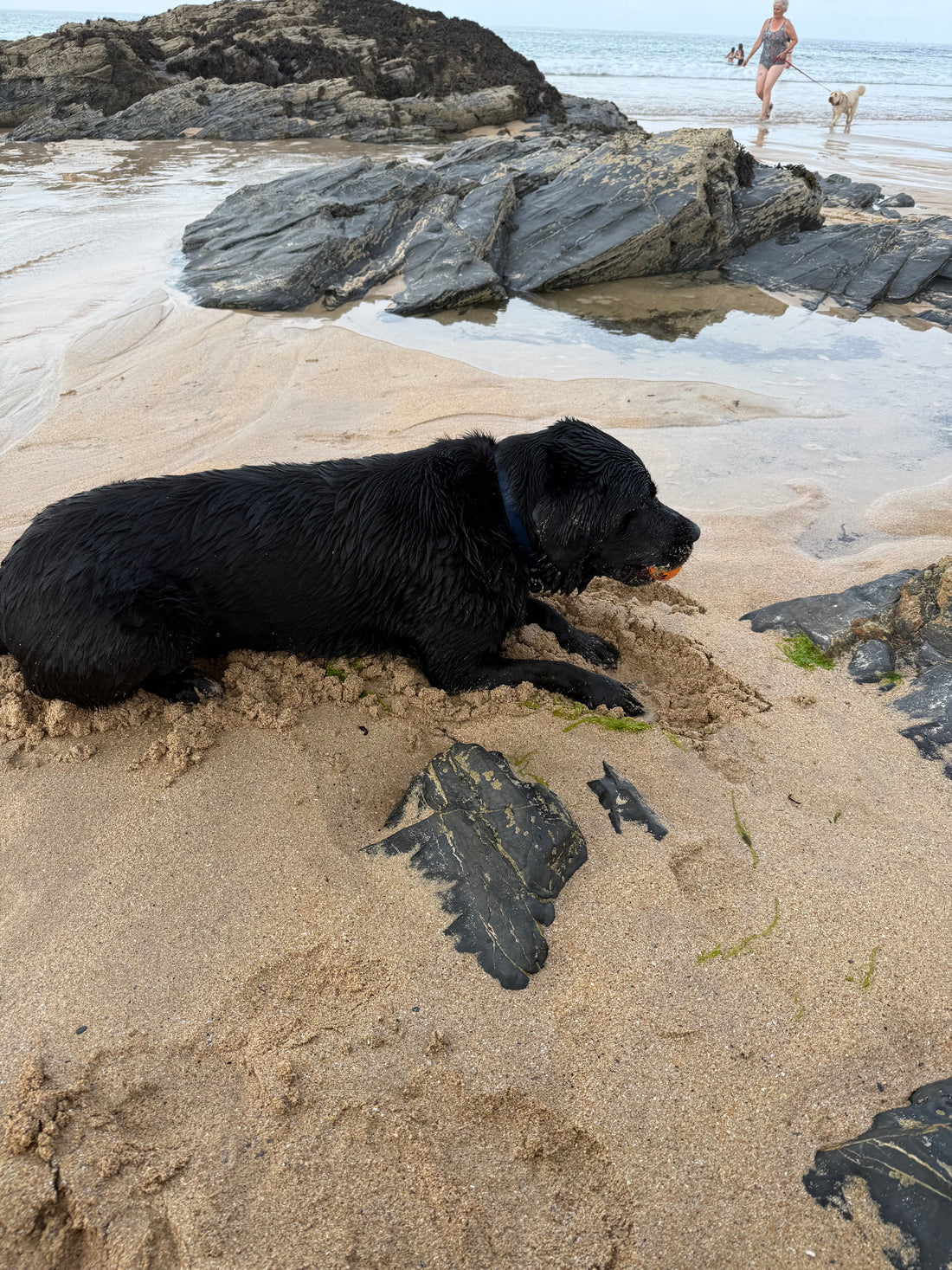 Finding Home in Cornwall: Following My Heart