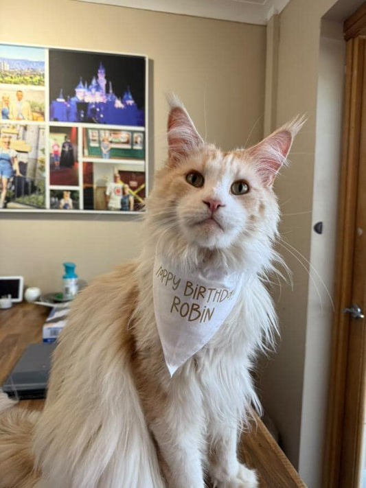 Personalised Birthday Bandana for Pets – Custom Dog or Cat Birthday Bandana | Pet Party Accessory | Add Name & Age