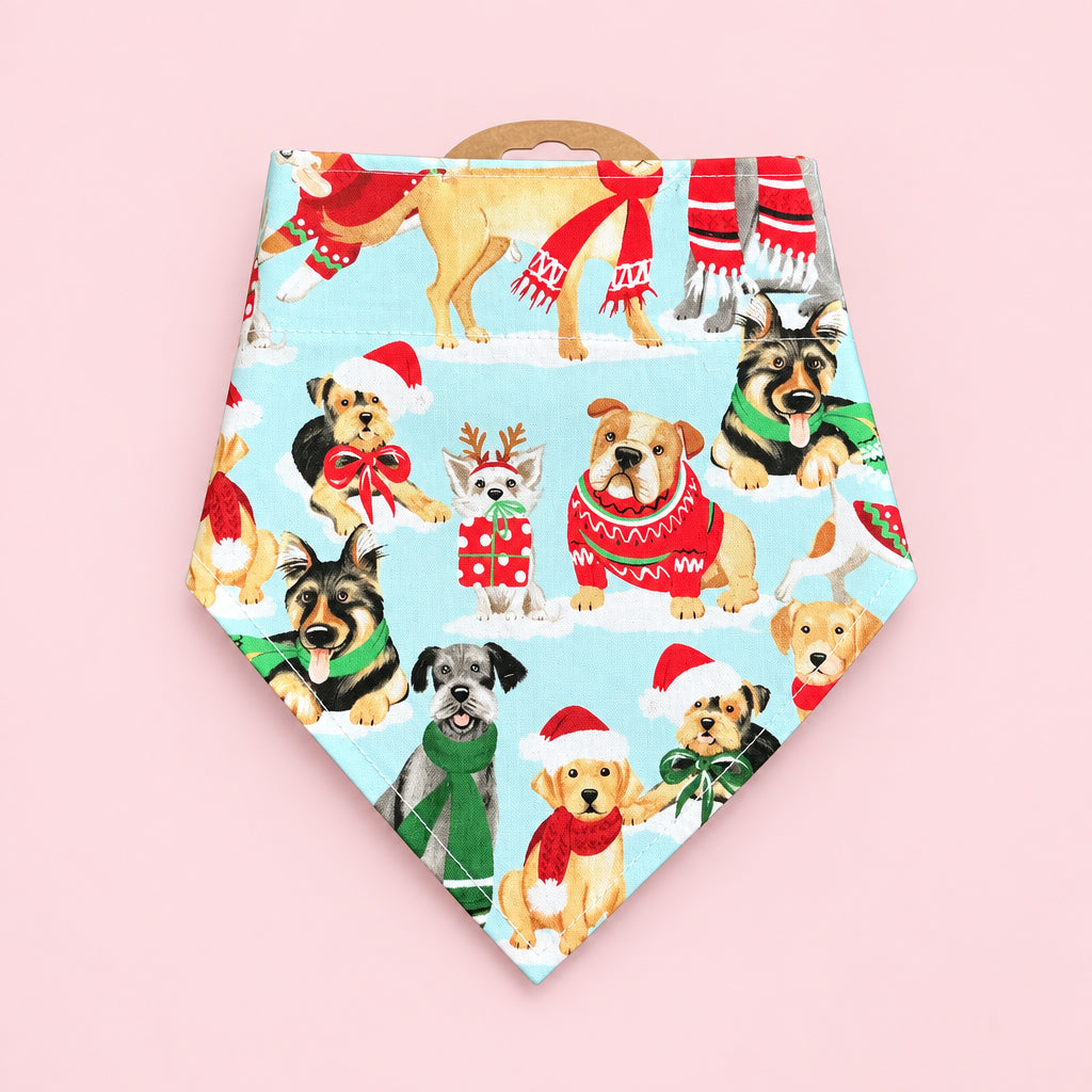 Light Blue Christmas Dog Bandana | Dogs in Santa Hats | Festive Dog Collar Bandana | Slip On Dog Bandana | Christmas Pet Accessory
