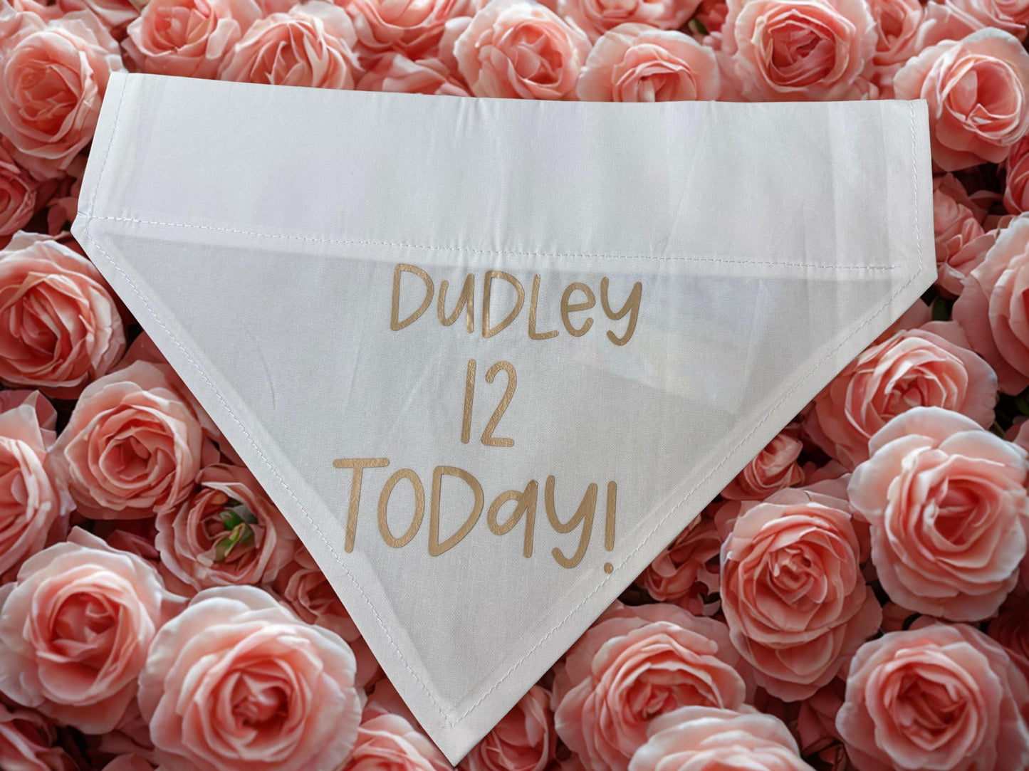 Personalised Birthday Bandana for Pets – Custom Dog or Cat Birthday Bandana | Pet Party Accessory | Add Name & Age