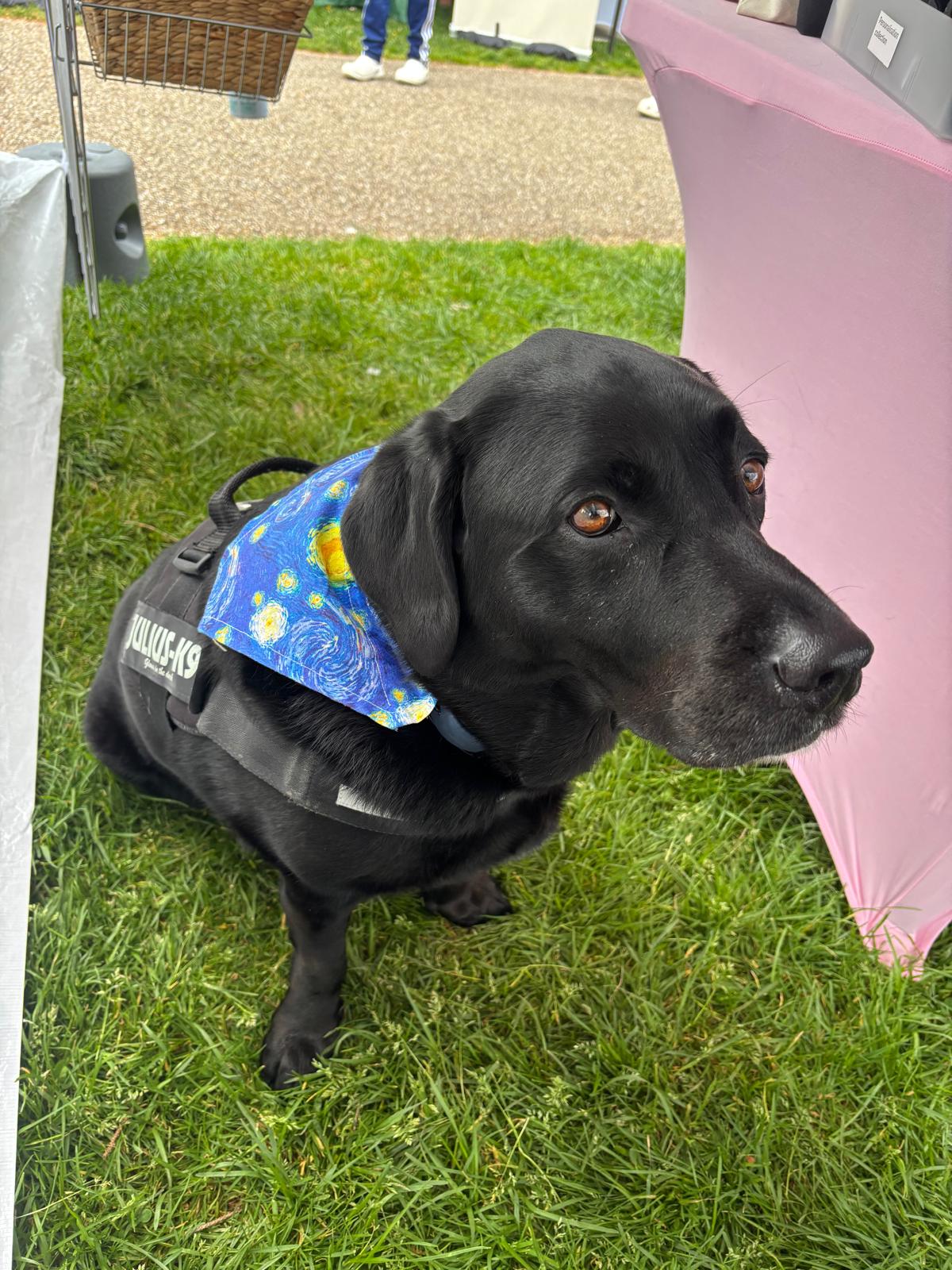 Starry Night Inspired Dog Bandana