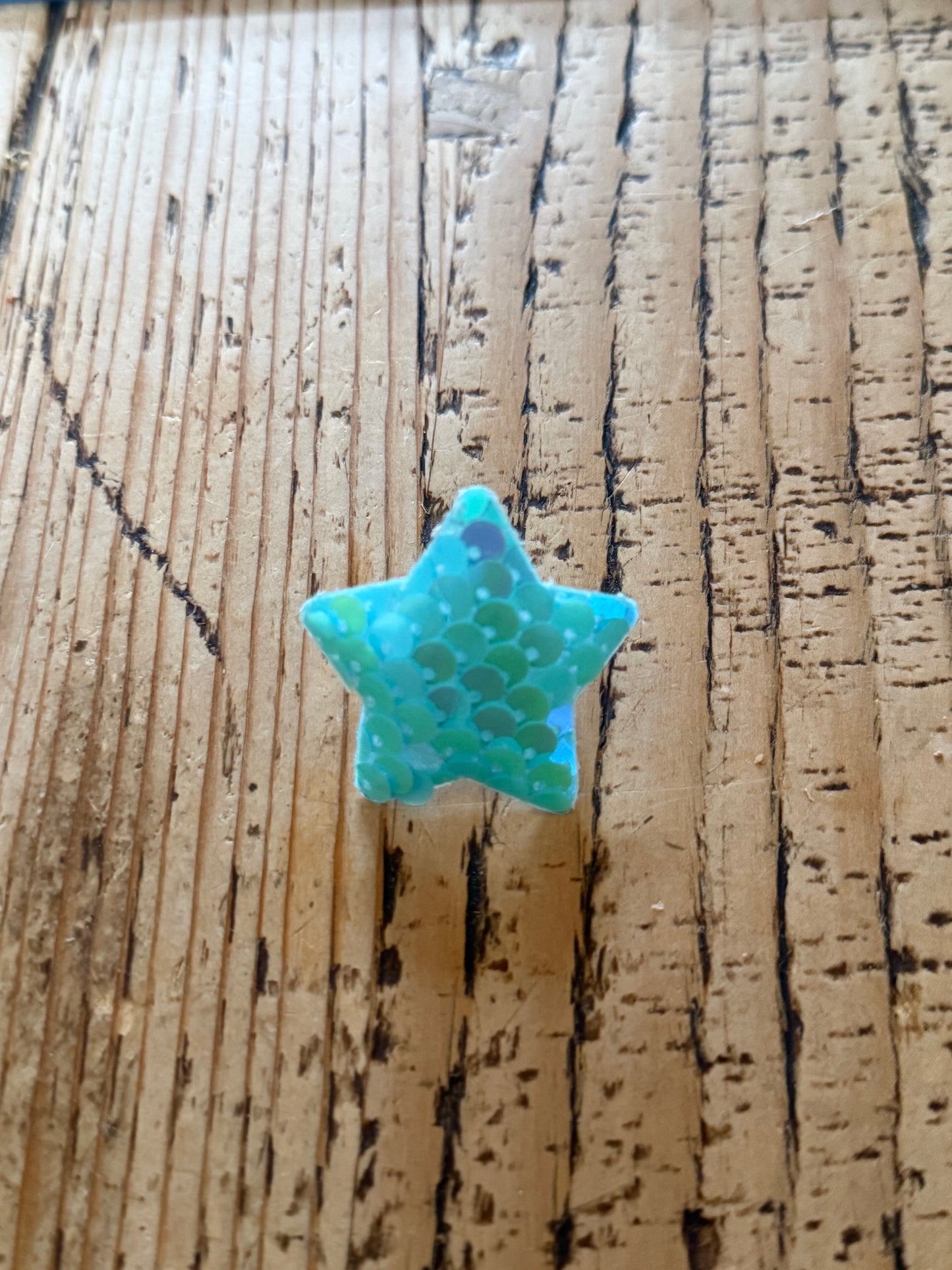 Sequin Star collar charm