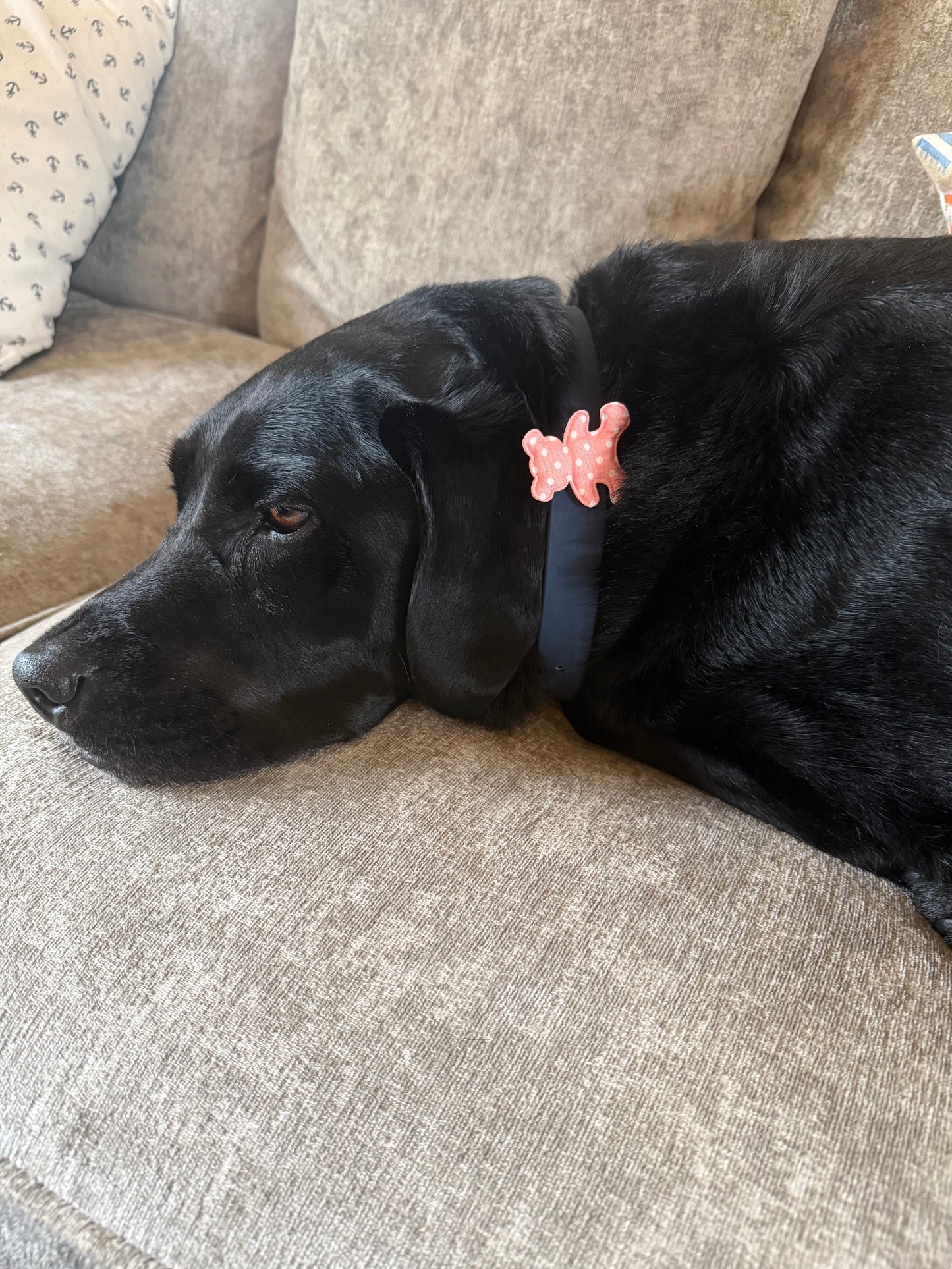Teddy Bear collar charm