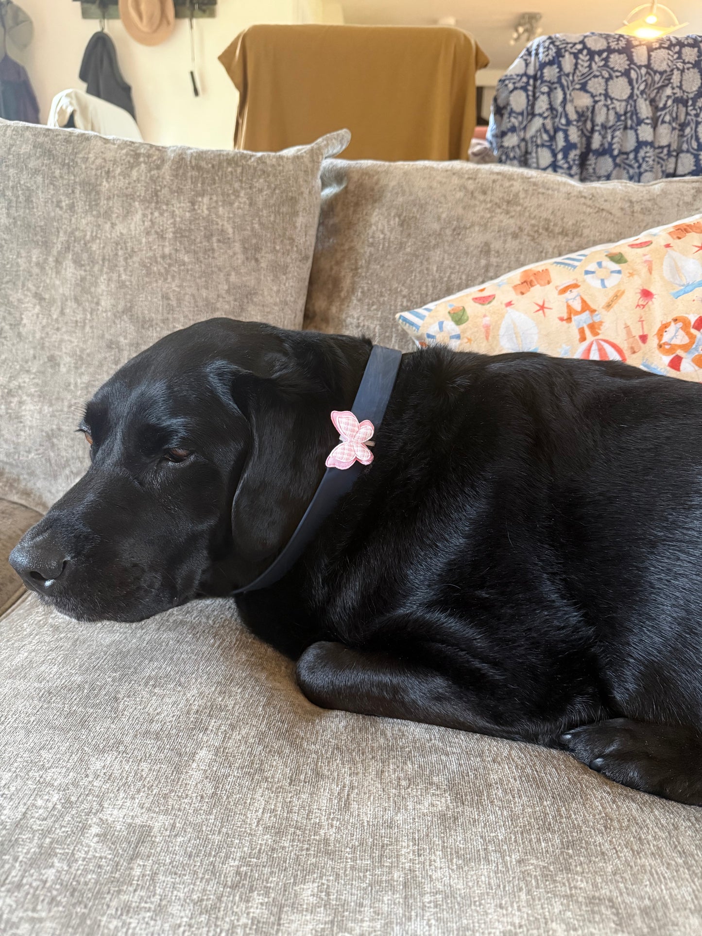 Butterfly collar charm