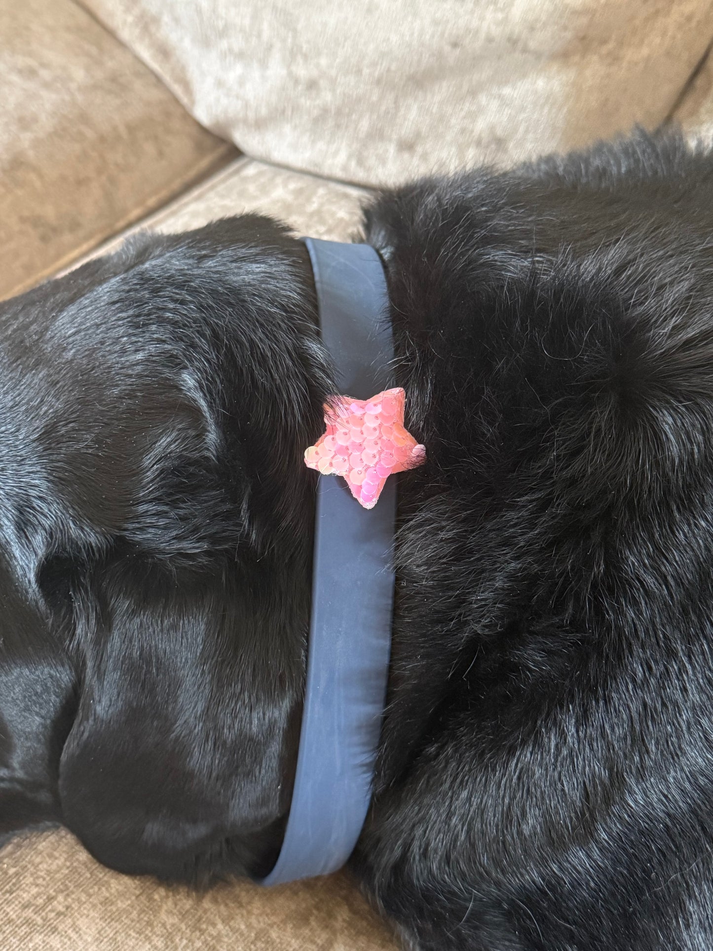 Sequin Star collar charm