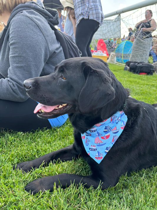 Pet Bandana ‘The Summer’ collection