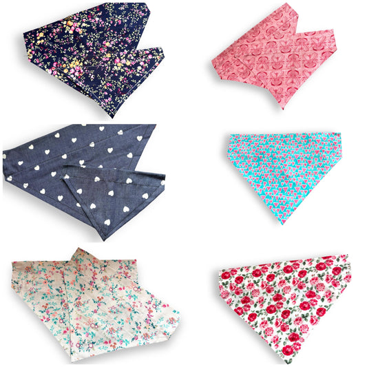 Pet Bandana ‘The girls’ collection - personalisation available