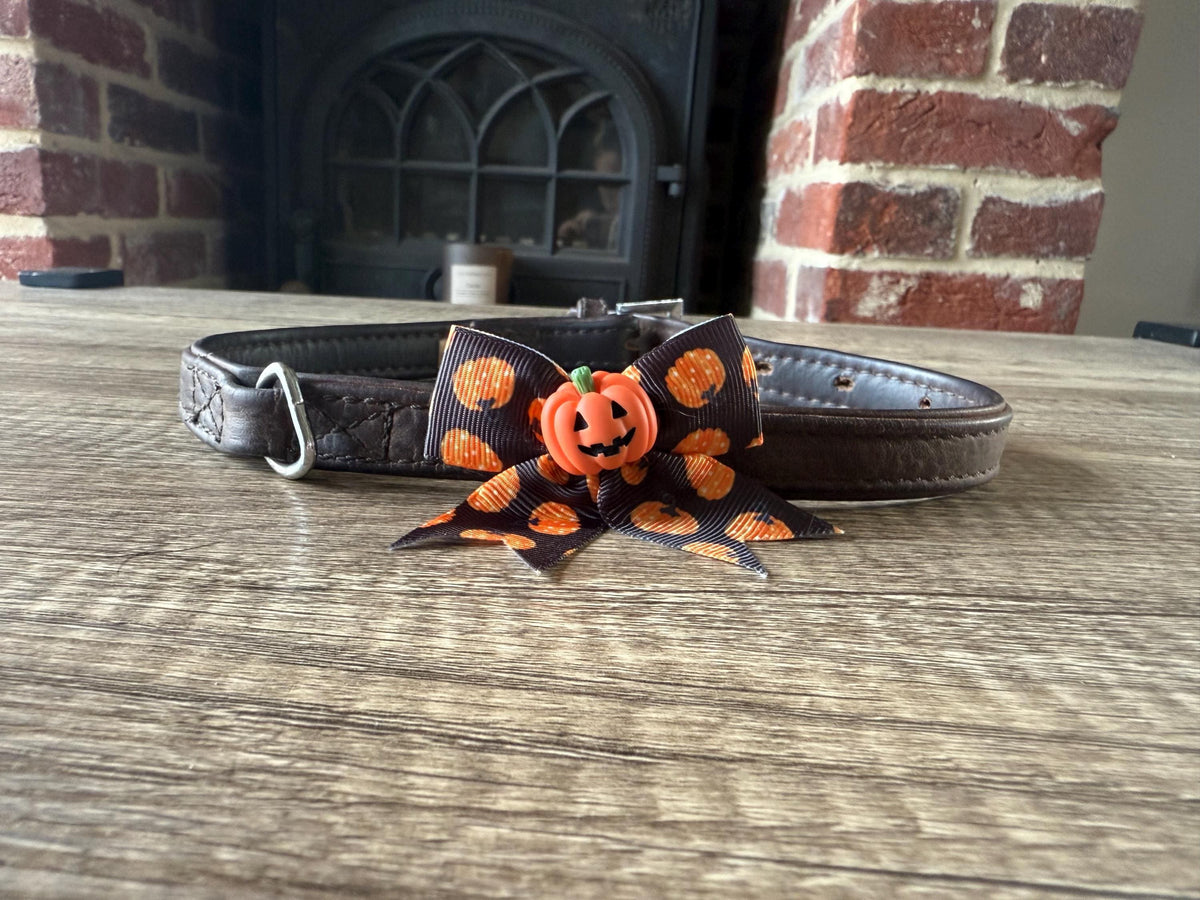 Halloween Dog Collar Bow | Limited Edition Pet Accessory | Ribbon Bow with Spooky Centerpiece | Festive Dog Collar Add-On |  Pet Costume