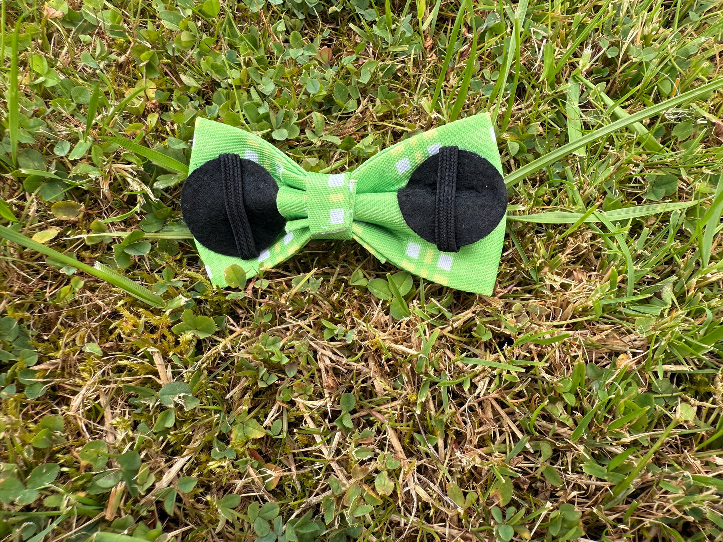 Green bow tie with black centers on grass