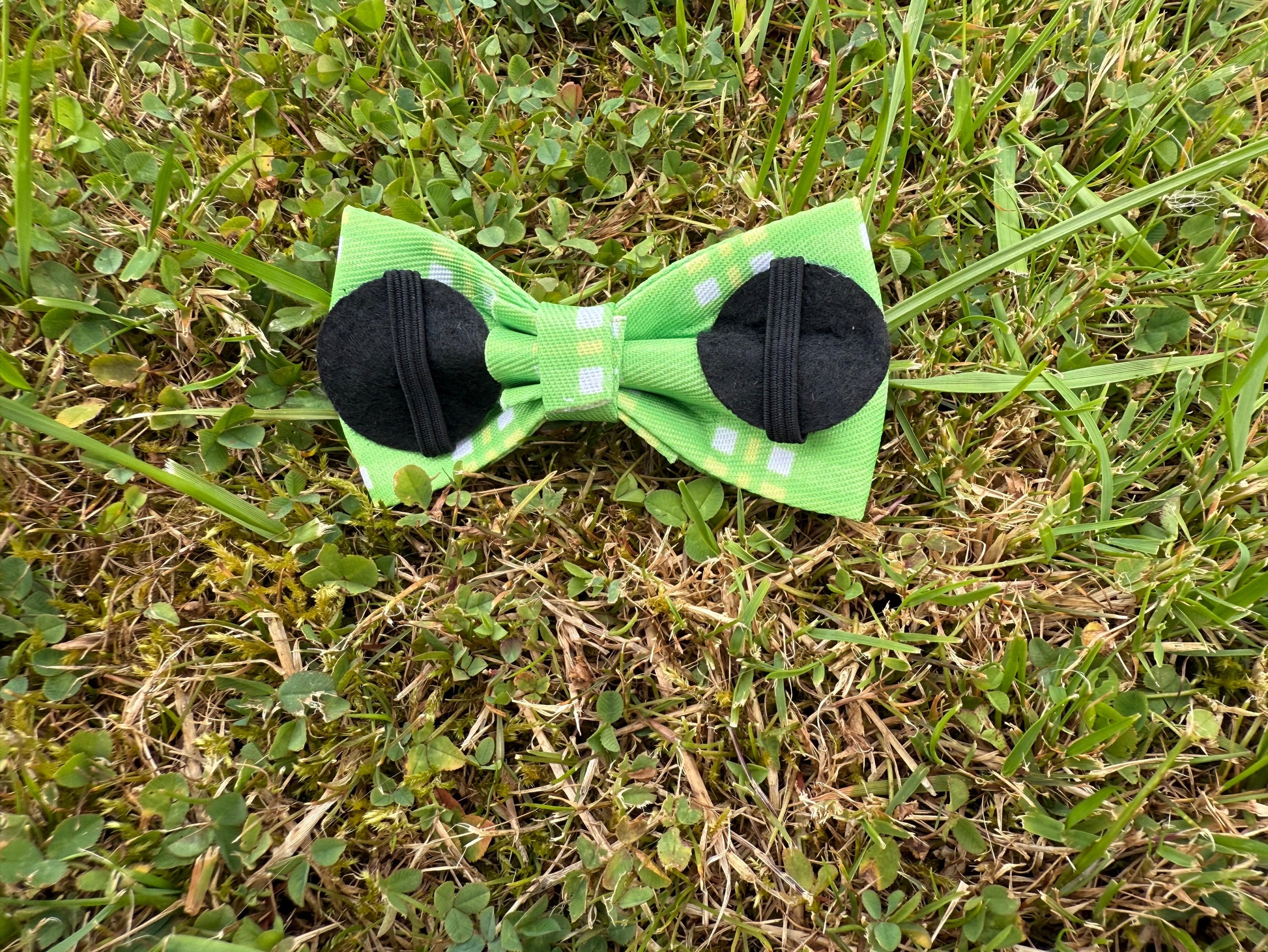 Green bow tie with black centers on grass