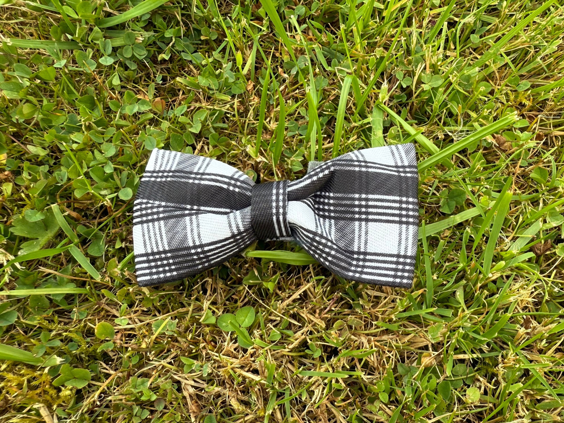 Black and white checkered bow tie on grass