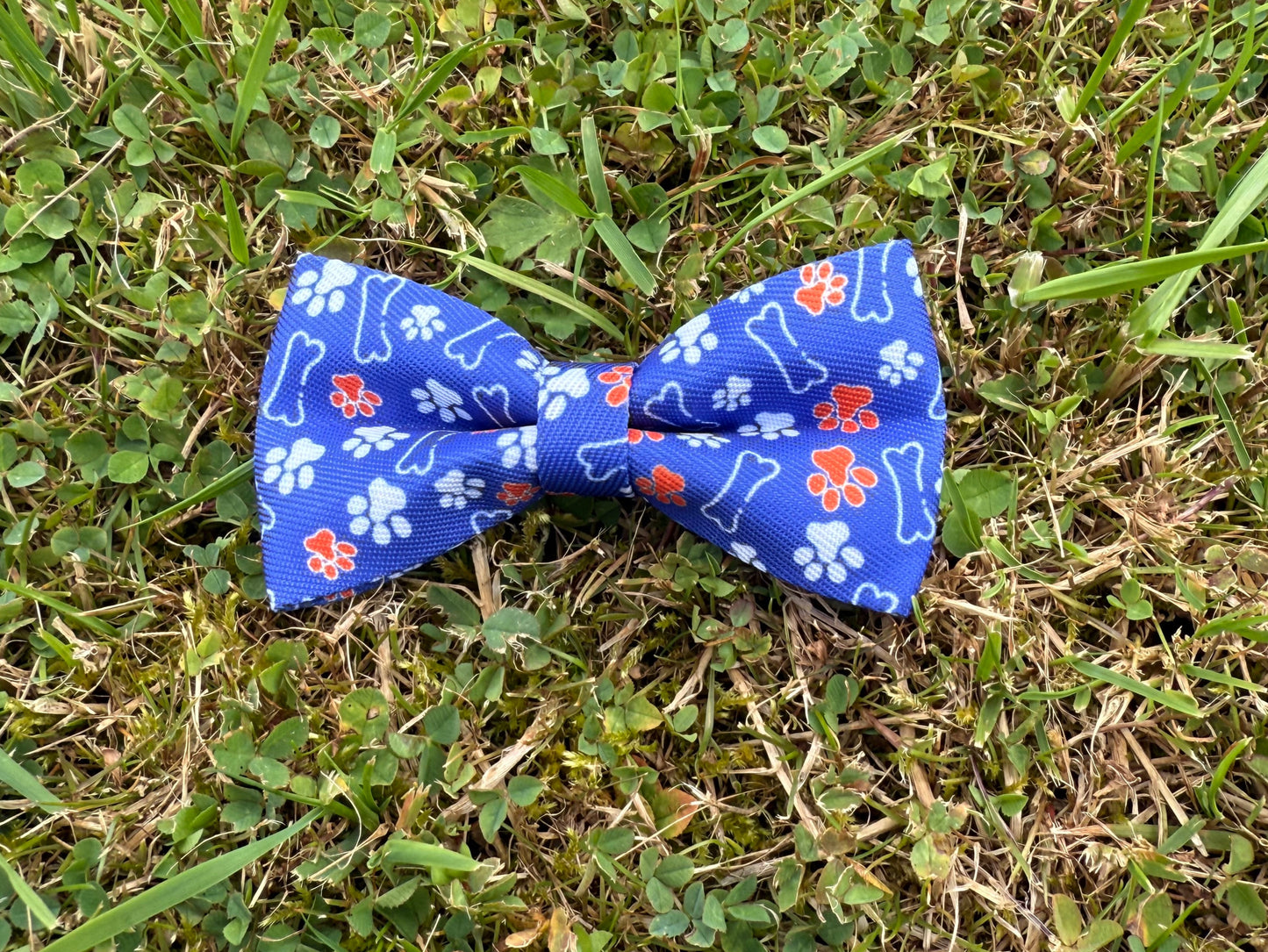 Blue bow tie with paw print pattern on grass