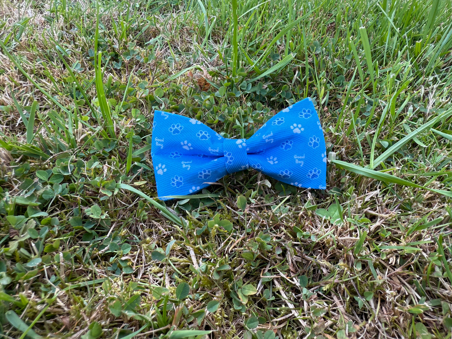 Blue bow tie with a pattern on grass