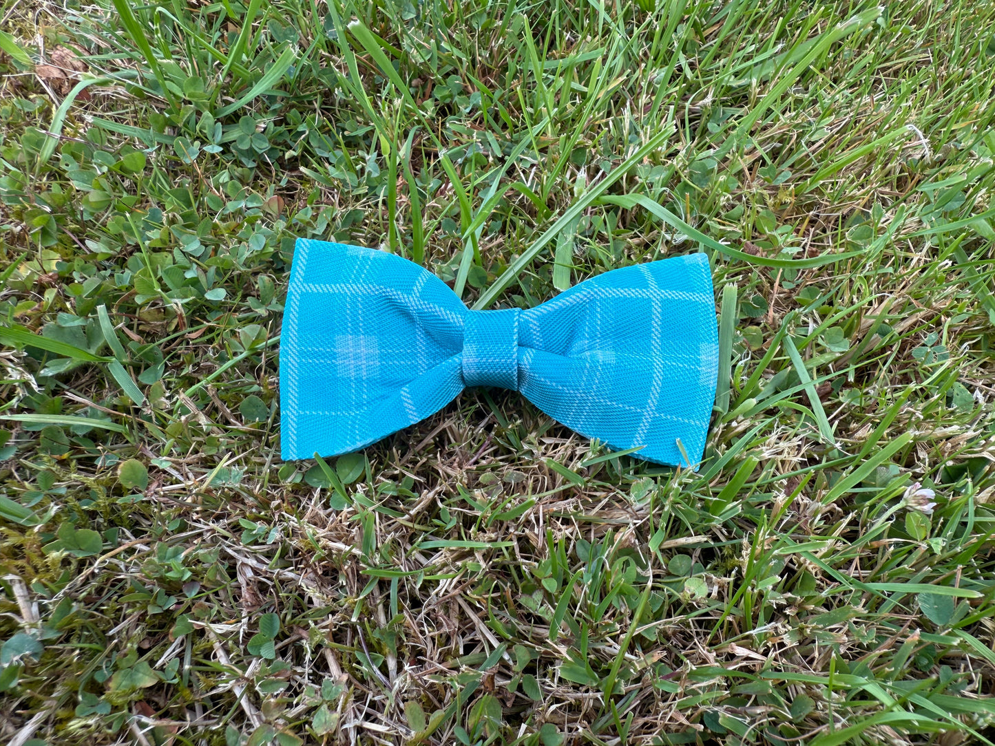 Blue checkered bow tie on grass