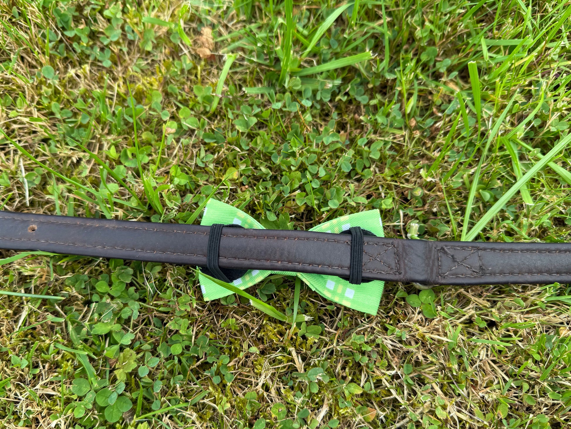Dog collar with bow tie