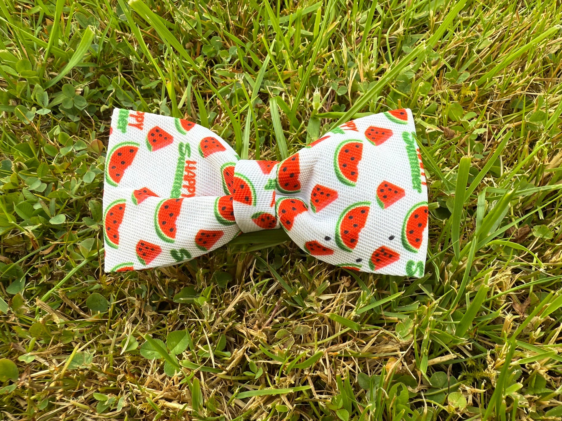 Bow tie with watermelon pattern on grass