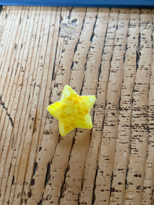 Sequin Star collar charm