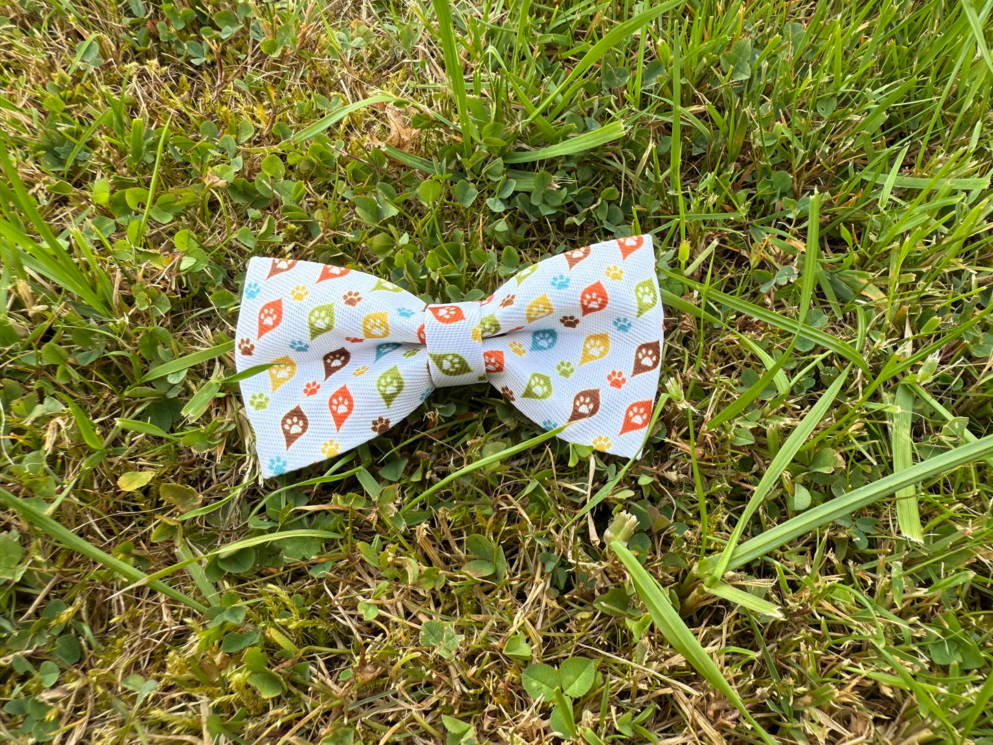 Colorful bow tie on grass