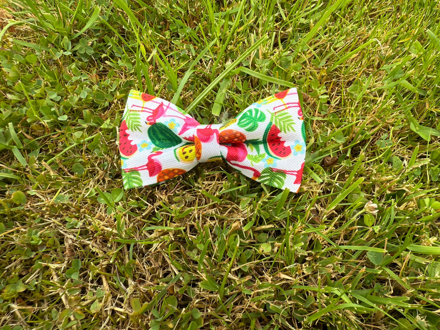 Floral patterned bow tie on grass