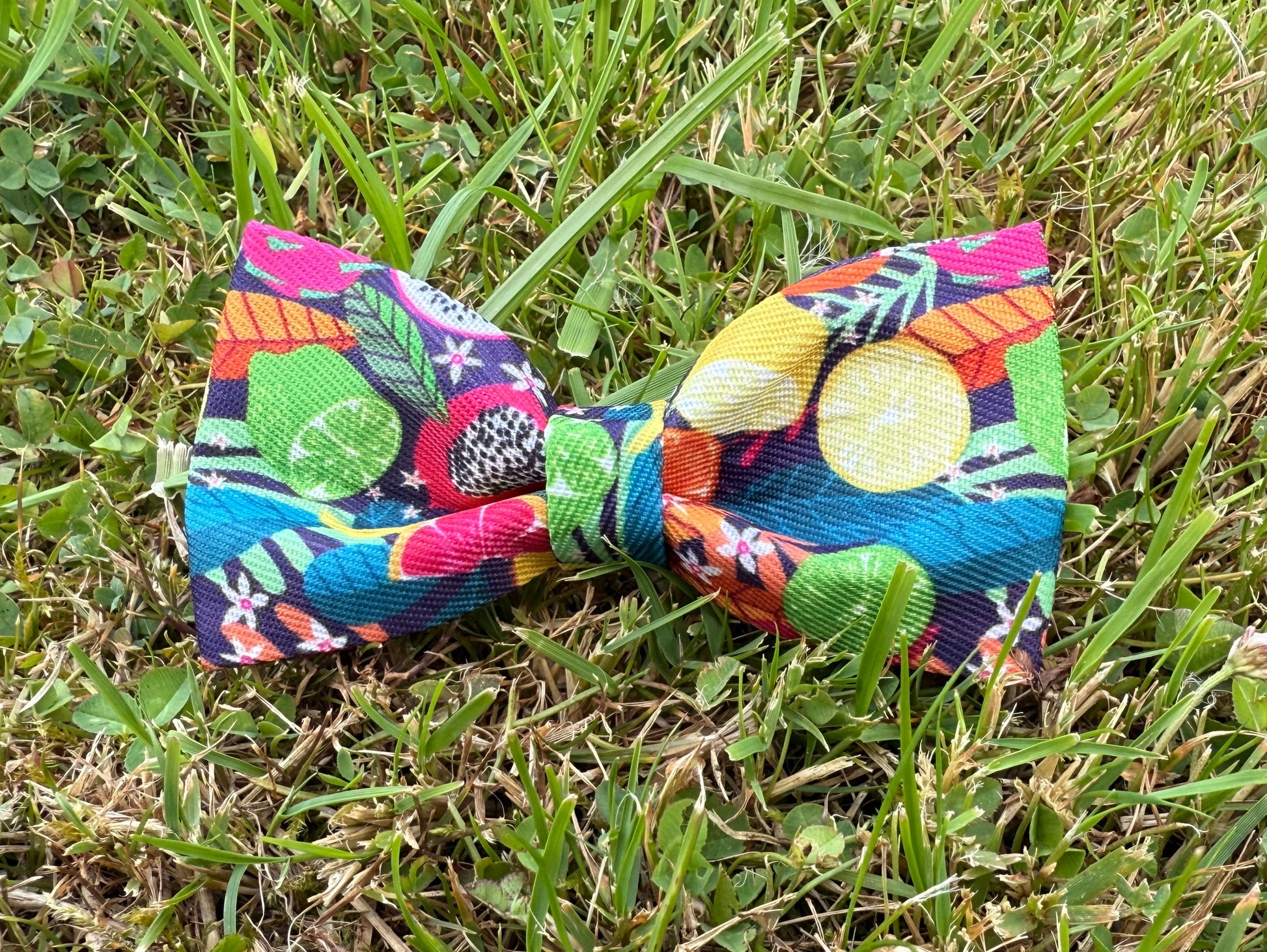 Fruit black bow tie