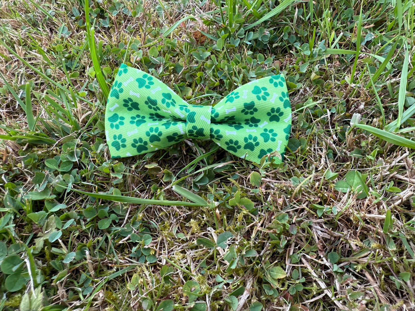 Green bow tie with pie pattern on grass