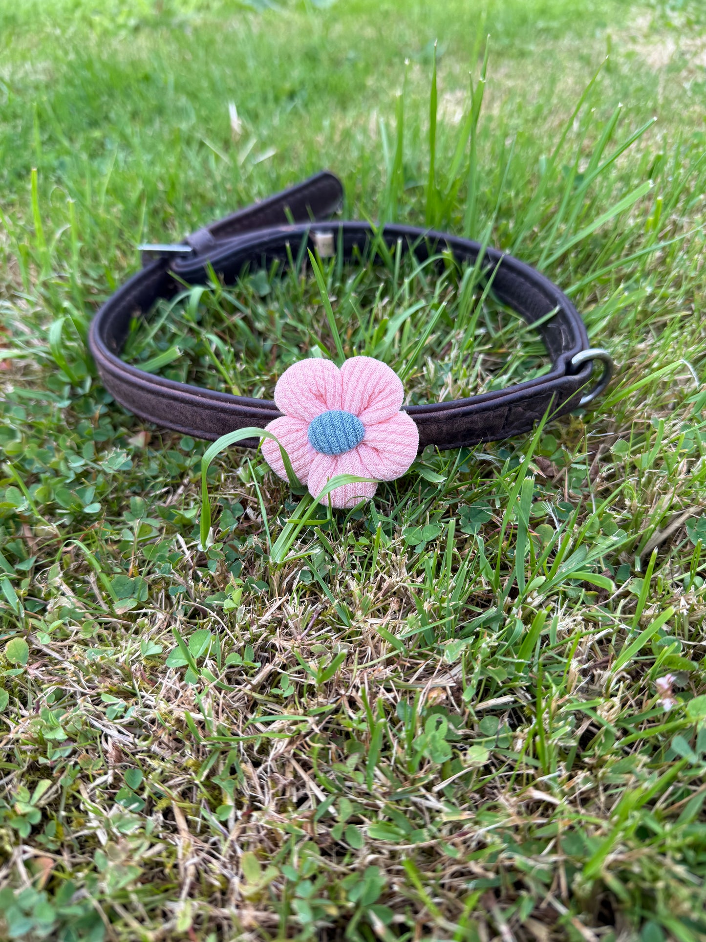 Flower Pet Collar Accessory – Handmade Dog Collar Flower – Cat or Dog Collar Attachment – Pet Bow Alternative – Cute Floral Pet Decor