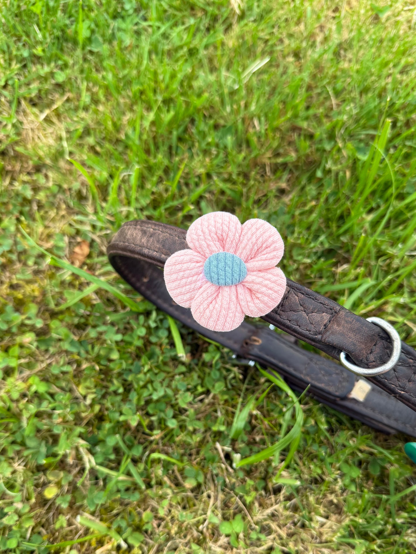 Flower Pet Collar Accessory – Handmade Dog Collar Flower – Cat or Dog Collar Attachment – Pet Bow Alternative – Cute Floral Pet Decor