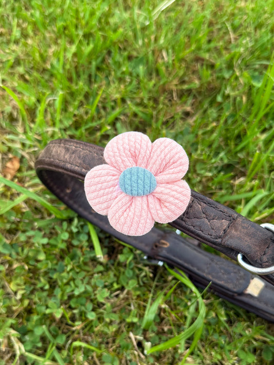Mini Pet Collar Flower