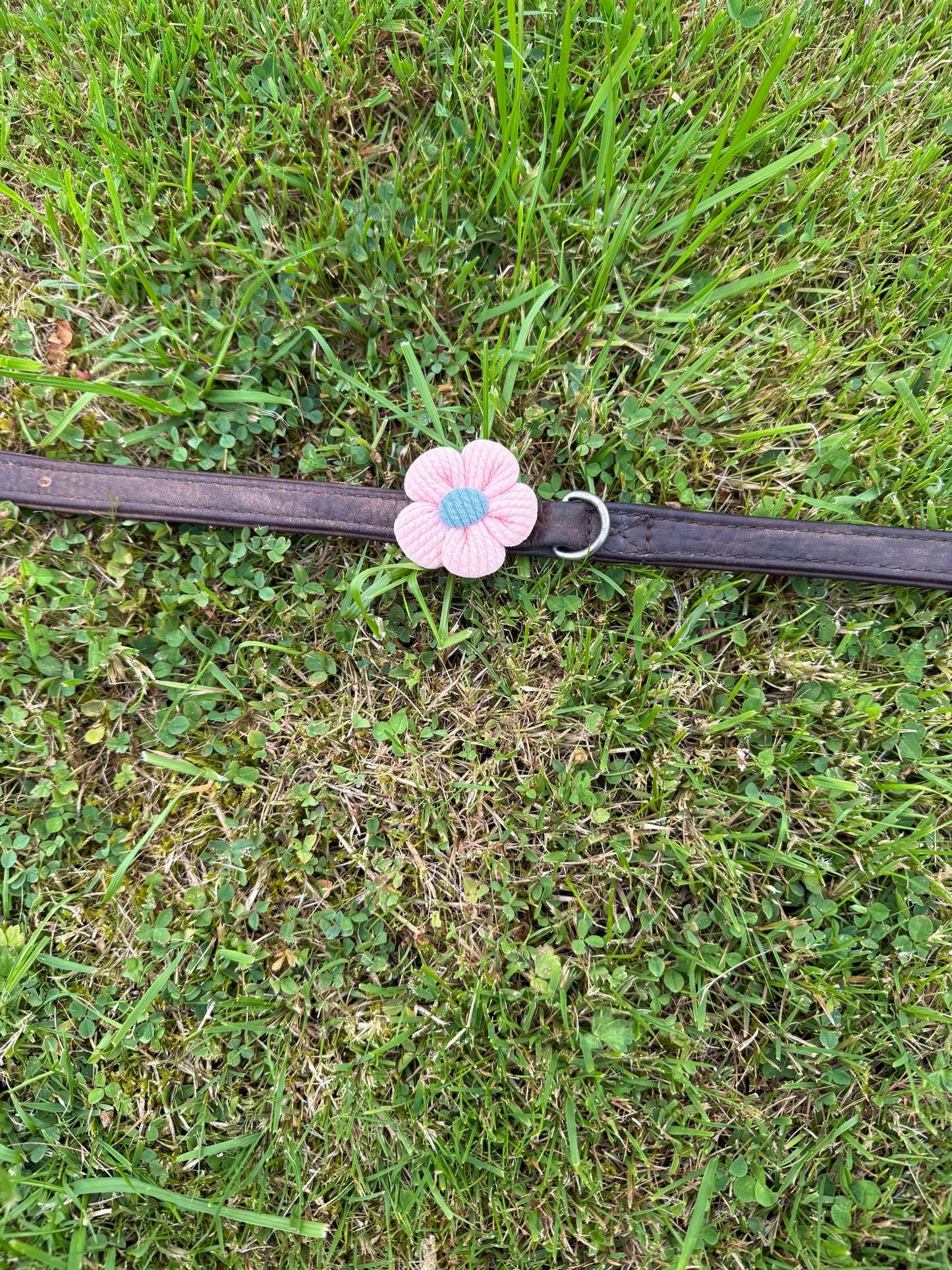 Flower Pet Collar Accessory – Handmade Dog Collar Flower – Cat or Dog Collar Attachment – Pet Bow Alternative – Cute Floral Pet Decor