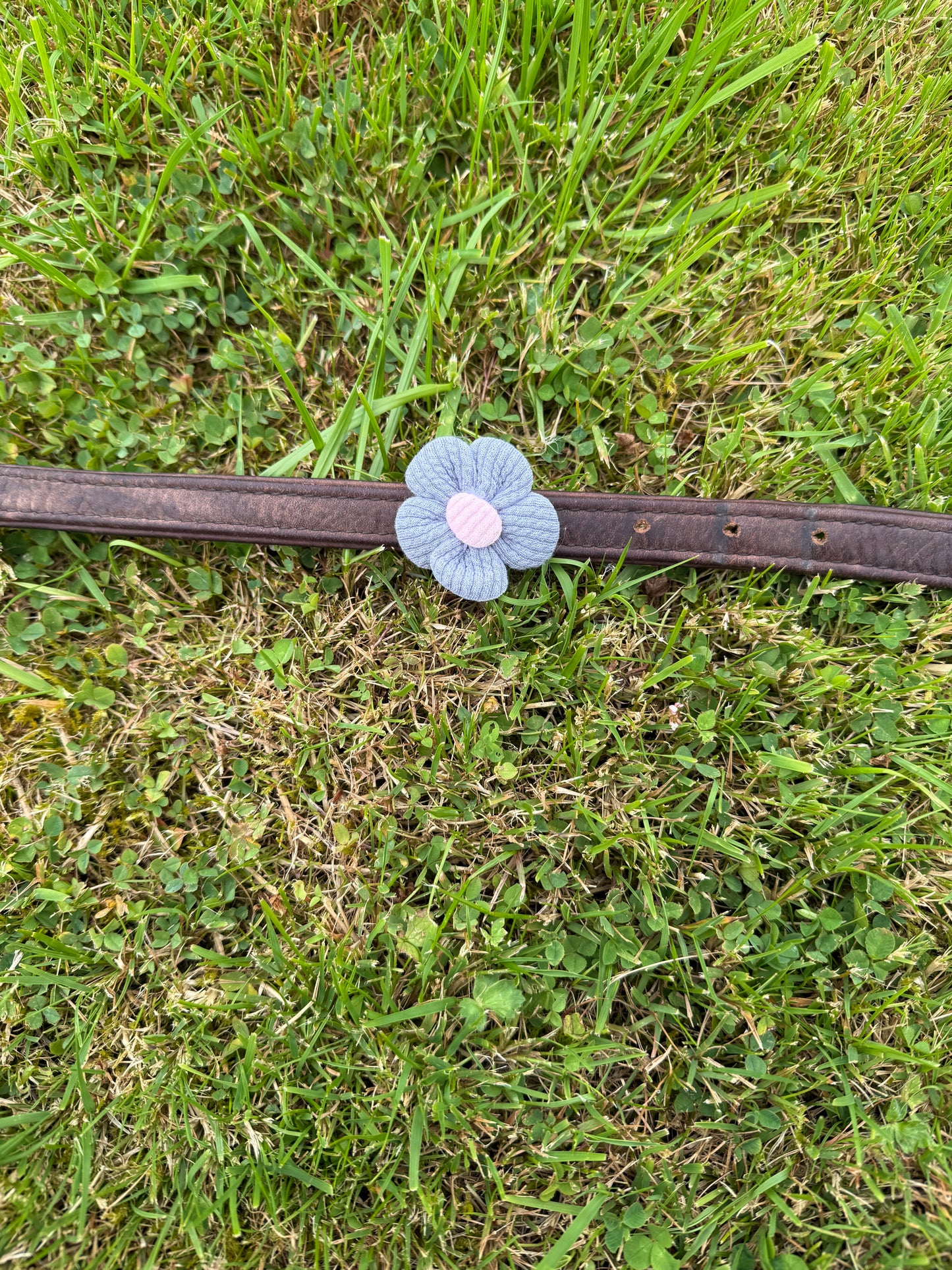Flower Pet Collar Accessory – Handmade Dog Collar Flower – Cat or Dog Collar Attachment – Pet Bow Alternative – Cute Floral Pet Decor