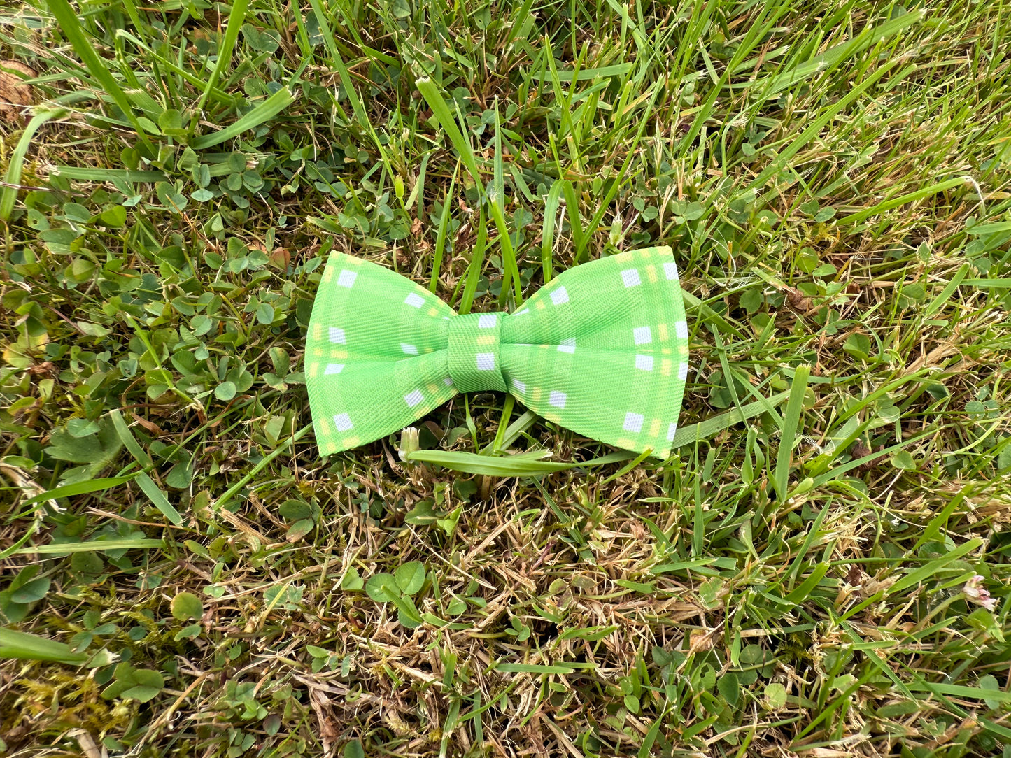 Dog Collar Bow Tie - The Classic collection