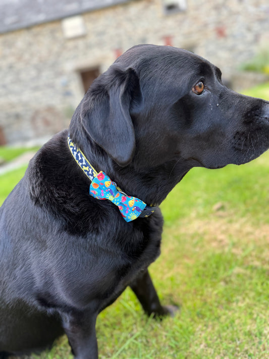 Dog Collar Bow Tie - The Summer collection
