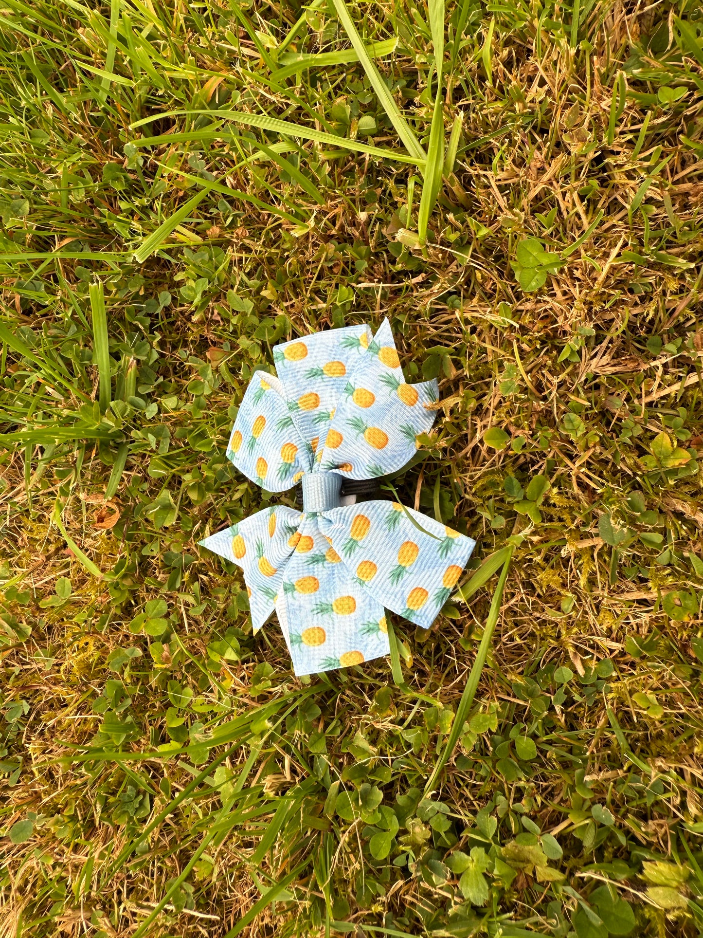 Summer Garden Pup Flower