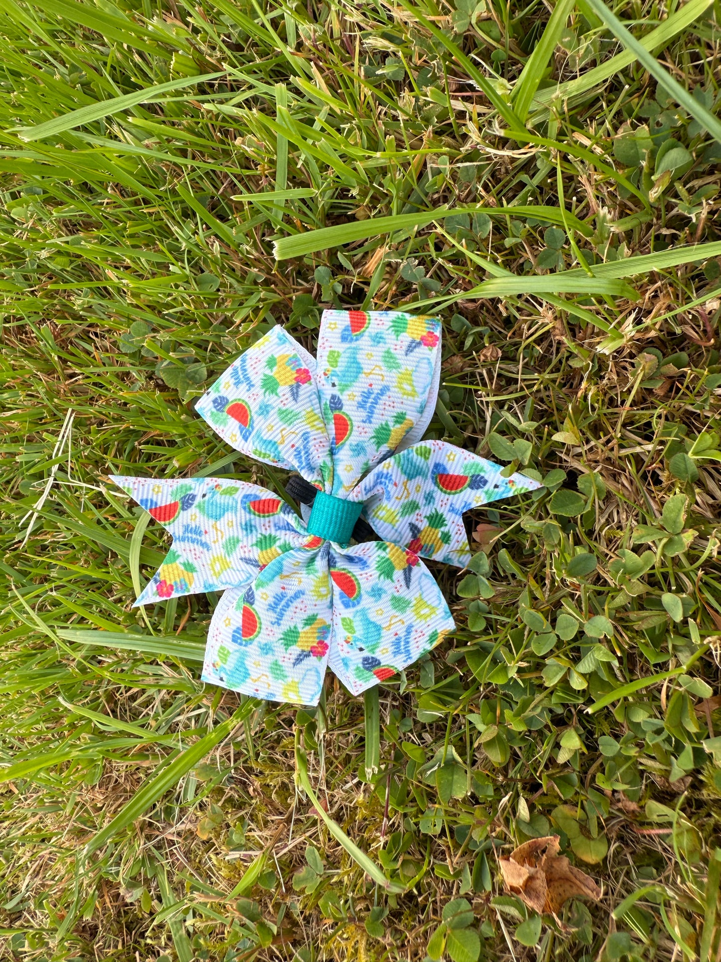 Summer Garden Pup Flower
