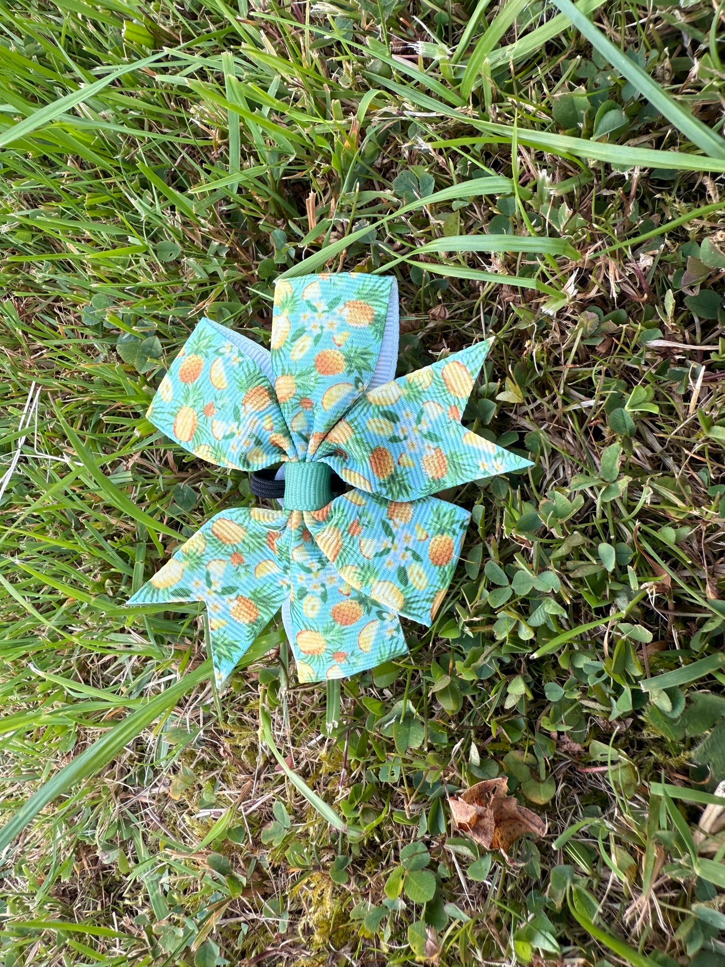 Summer Garden Pup Flower