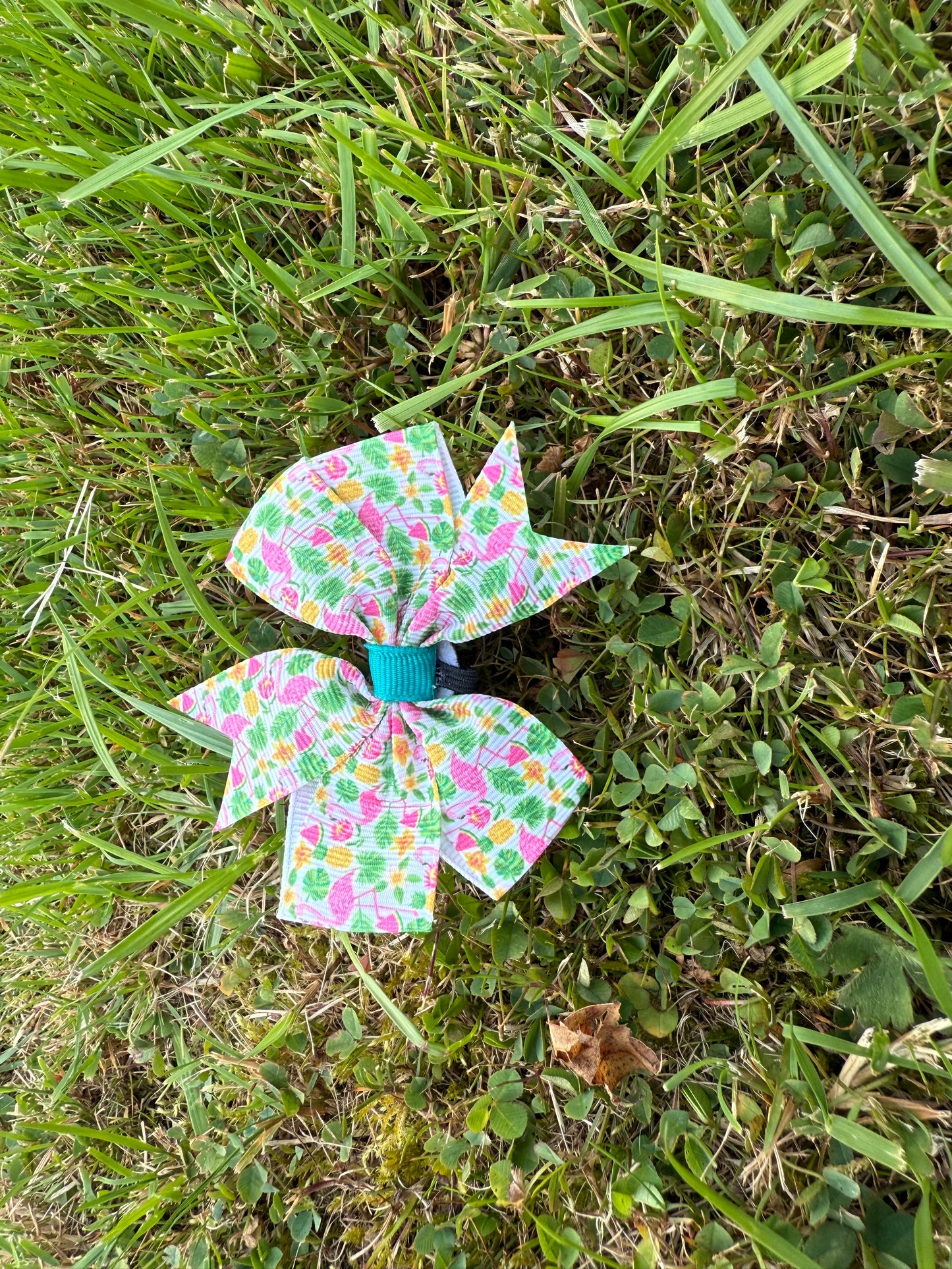 Summer Garden Pup Flower