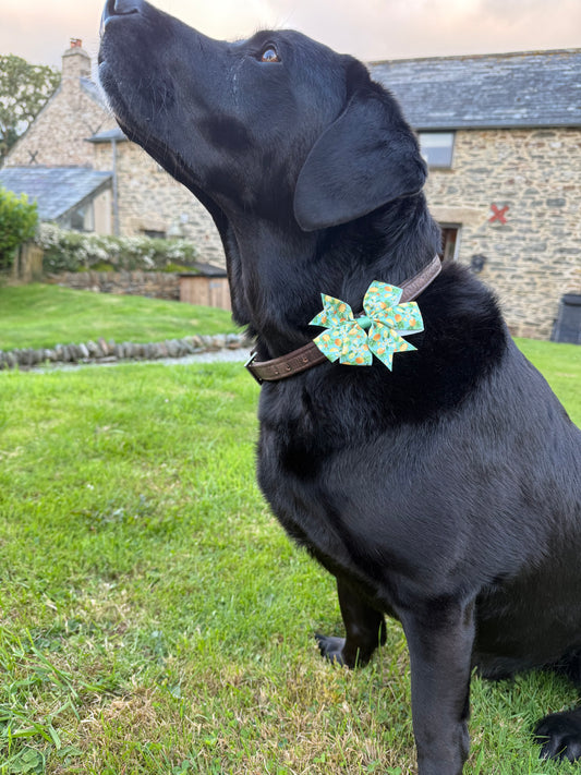 Summer Garden Pup Flower