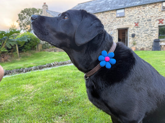 Handmade Dog Collar Flower