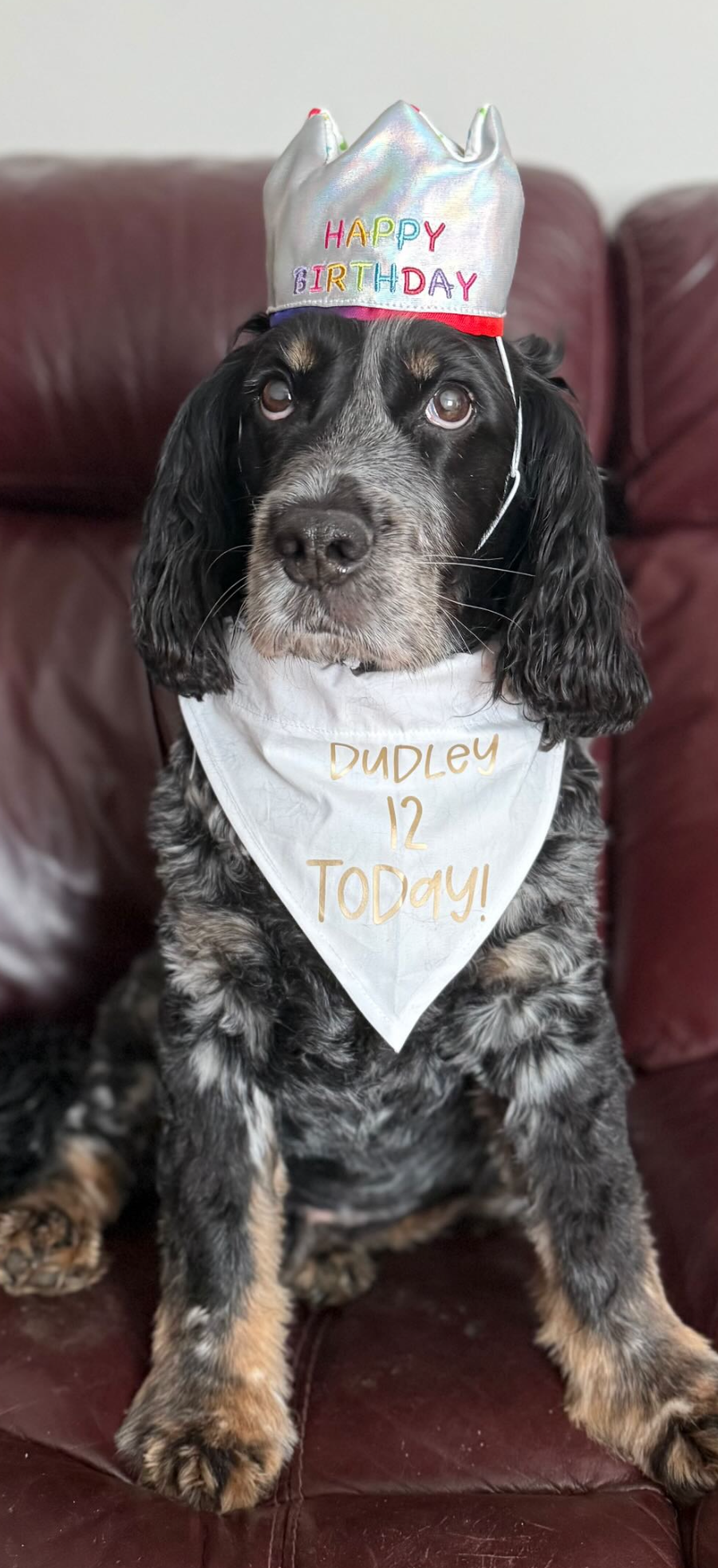 Personalized Pet Birthday Bandana: Custom Dog or Cat Party Accessory