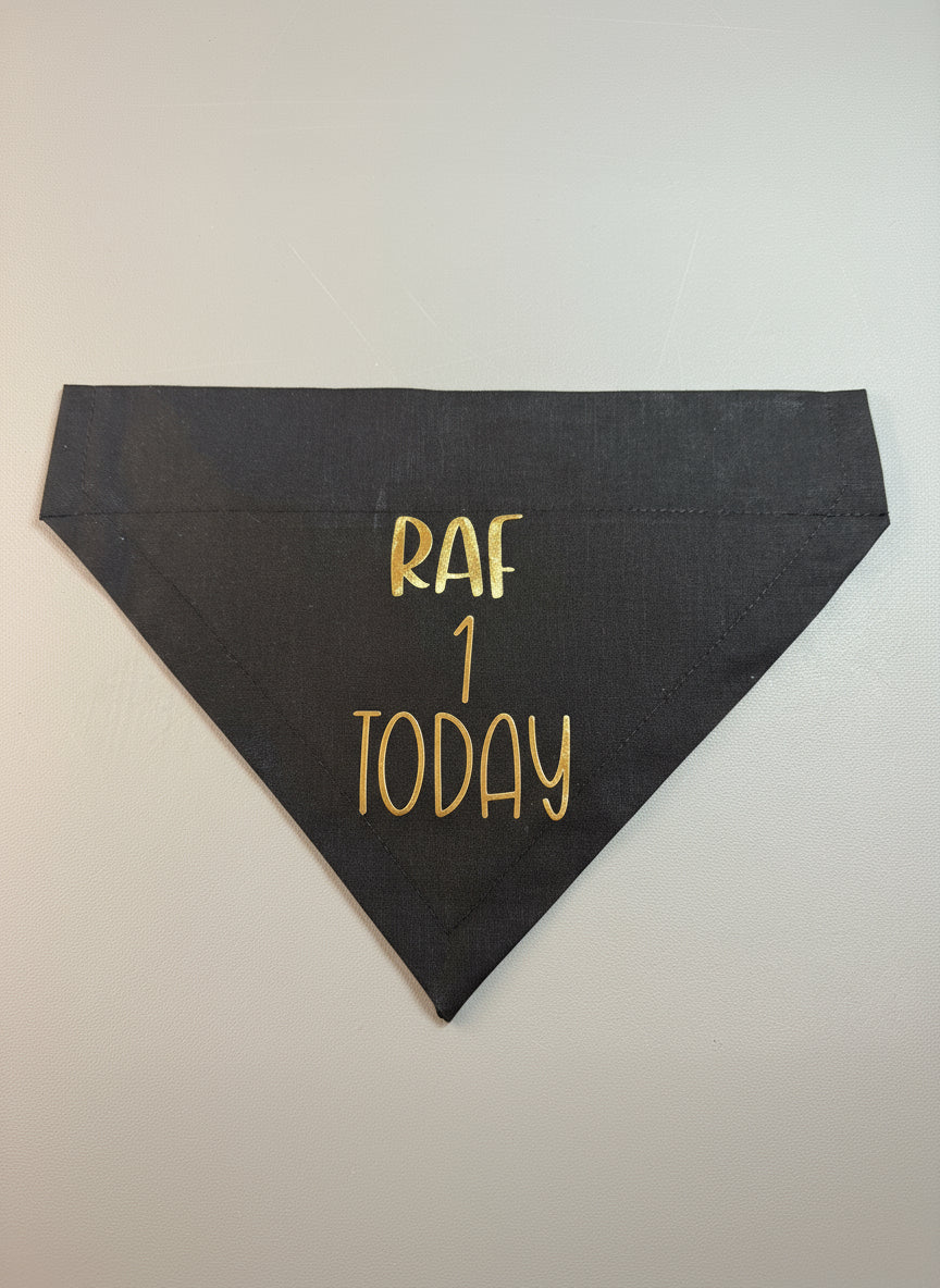 Personalized Pet Birthday Bandana: Custom Dog or Cat Party Accessory