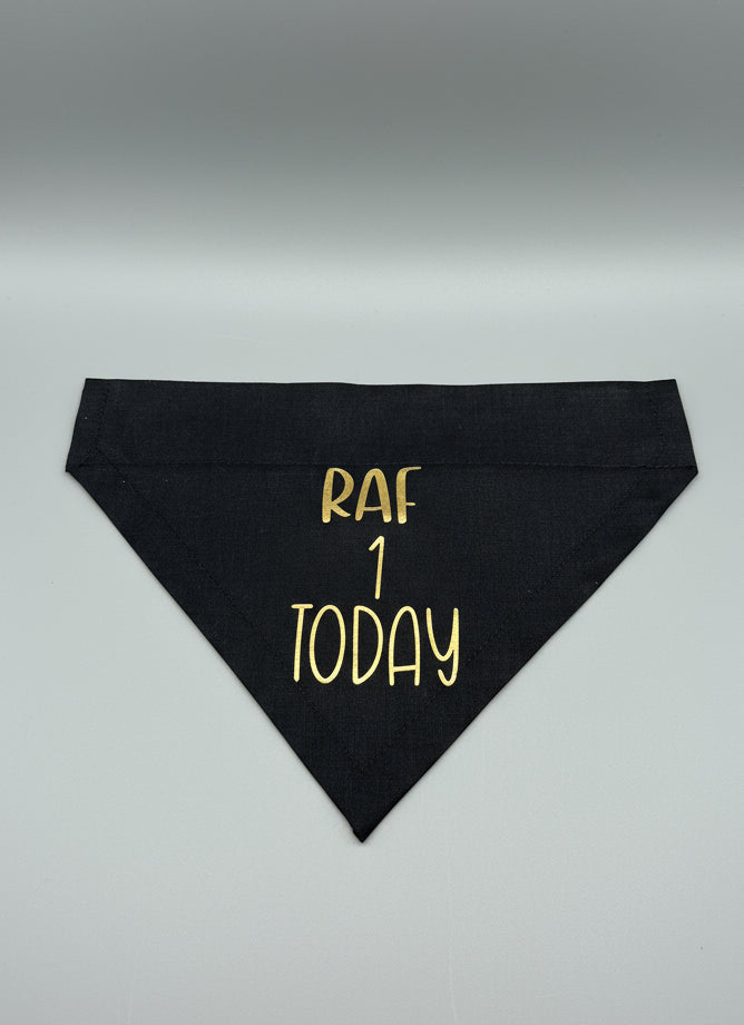 Personalized Pet Birthday Bandana: Custom Dog or Cat Party Accessory