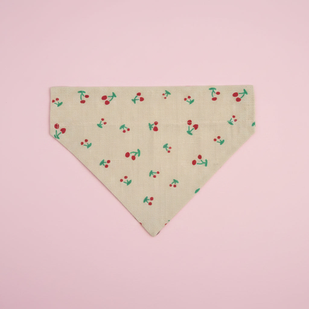 Dog bandana with cherry pattern on a pink background